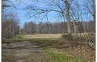 Property photo 115 - REAL ESTATE & PERSONAL PROPERTY AUCTION, 140 Acres offered in 8 Tracts or Combinations in Steuben County